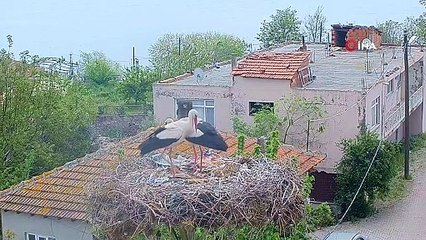 Herkes gitti, o kaldı