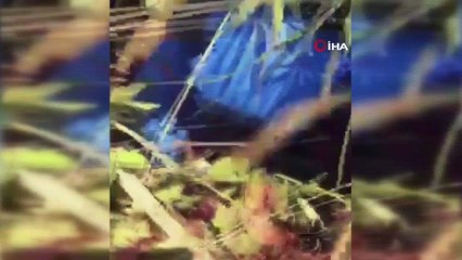 Muğla’da uyuşturucu tacirlerinden 8’i tutuklandı