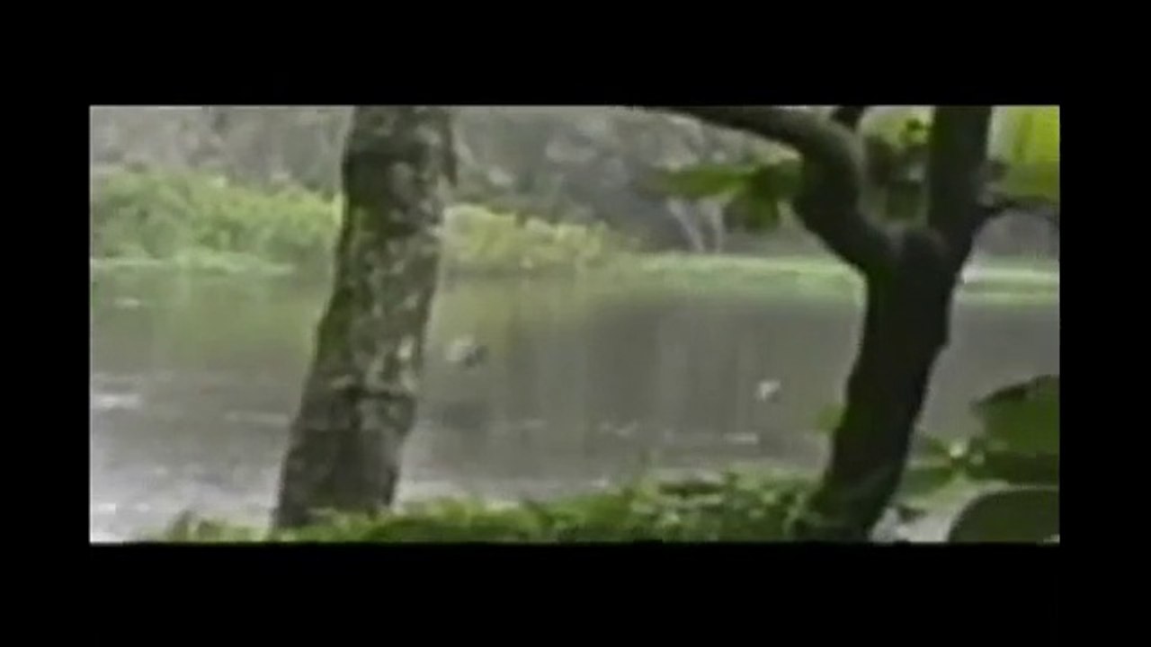 UFO Sightings Doomsday_ May, 21 2011