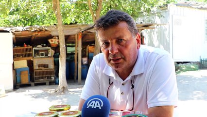 Babasından öğrendiği arıcılığı 40 yıldır sürdürüyor - TEKİRDAĞ