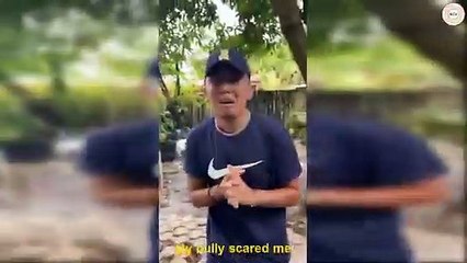 Funny WillyTube Tik Tok Videos 2020 _ Funny Videos(360P)