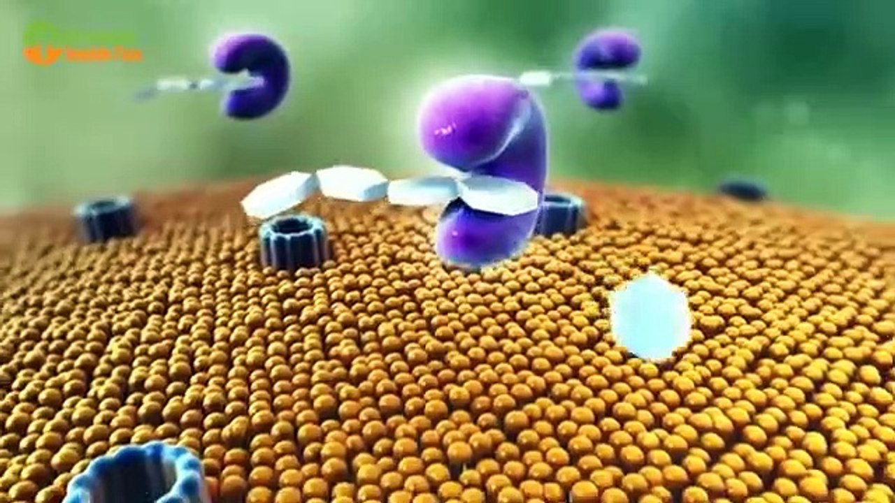 ৩ দিন লাগাতার ২ টি করে পেয়ারা পাতা খান,শরীর থেকে দূর হবে 7 রোগ   !  এত উপকারের কথা চিন্তাও করা যায় না !        #Azad'sTechWorldPro#