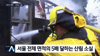 번개 1만 번 넘게 ‘번쩍’…美 캘리포니아 산불 ‘활활’