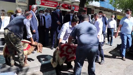 Kahramanmaraş'ta 'doğal gaz müjdesi'ne kurban kesildi