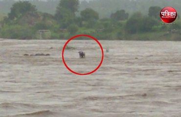 अनास नदी में  5 लोग बहे