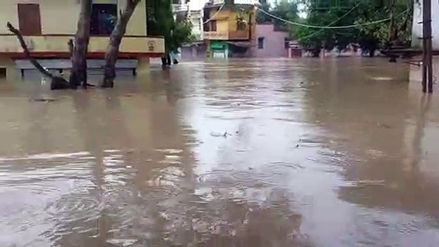 अरनिया कला में घुसा पानी, घरों में 1-1 मंजिल तक आया पानी