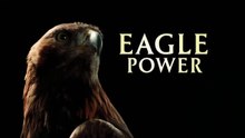 PBS  NOVA - Eagle Power (2020)