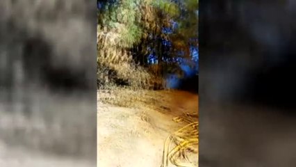 Continúan la batalla contra el fuego en el norte de La Palma