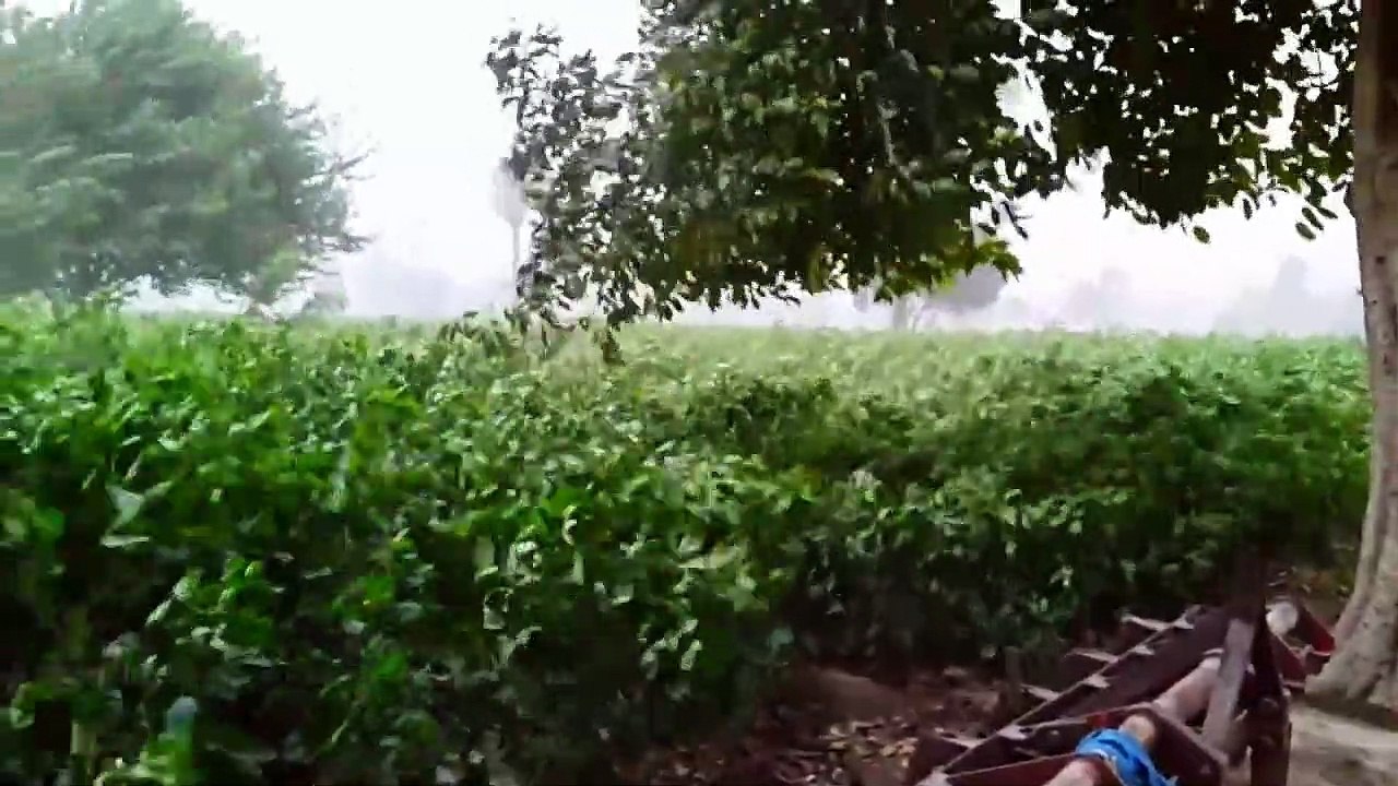 Pakistan Village Life _ Punjab Fields & Beautiful Scenes 2020_ Best movies clips_HD