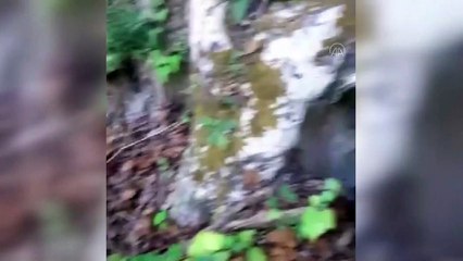 Yıldırım-5 Operasyonu'nda 3 terörist etkisiz hale getirildi