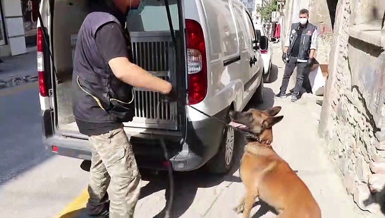 Narkotik köpeği 'Sezar' ve 'Artos' ile denetim yapıldı - BOLU