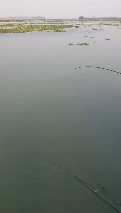 Fishing in the river
