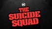 The Suicide Squad : characters teaser DC Fandome - James Gunn 2021
