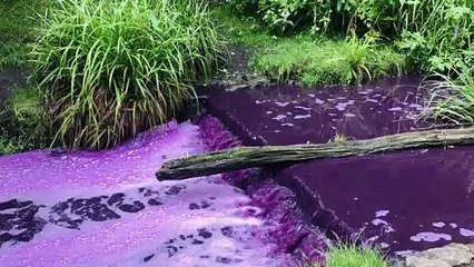 Purple River Flowing in Scotland