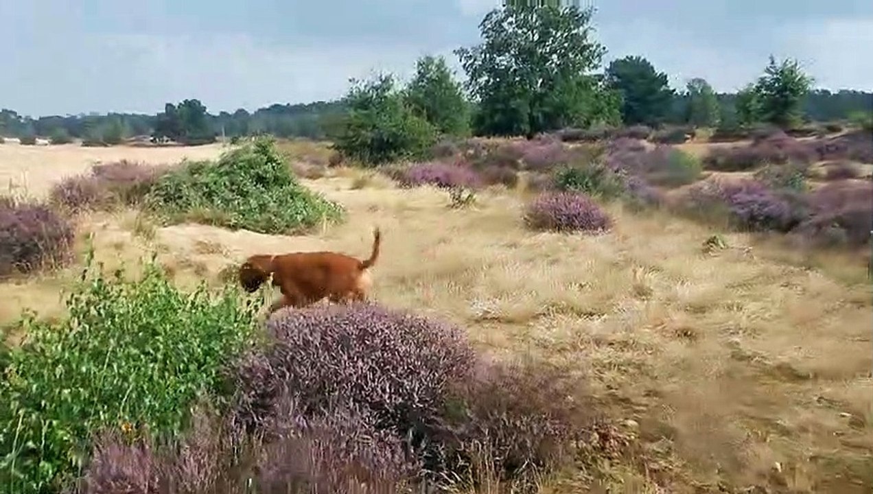 Folle ... Moi?