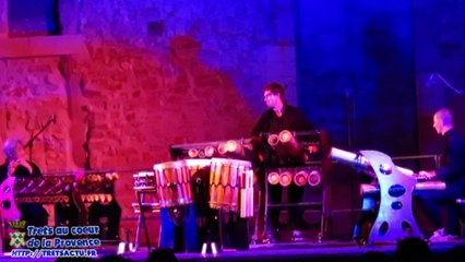 Concert Bamboo orchestra 23aout2020 TRETS