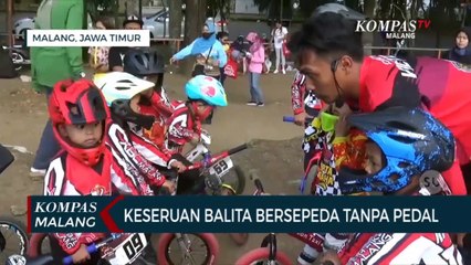 Keseruan Balita Bersepeda Tanpa Pedal atau Pushbike