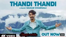 GULZAAR CHHANIWALA _ THANDI THANDI (Official Video) 2020