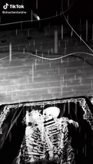 2020-07-29_@drachenlordrw_6854929211325549830