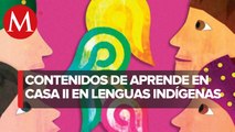 SEP transmitirá programas de Aprende en Casa II en lenguas indígenas