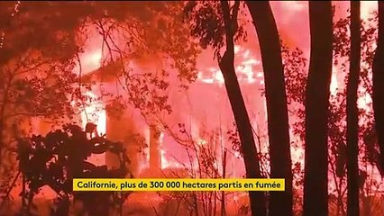 États-Unis : la Californie brûle toujours et demande de l’aide