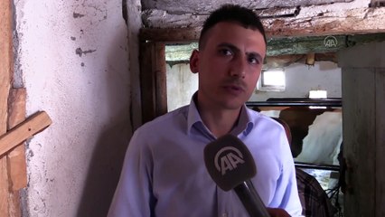 Doğal gaz tesisatçısı buzağı ölümlerinin önüne geçecek platform geliştirdi - AMASYA