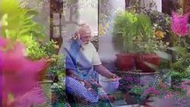 PM मोदी आंगन में बैठकर मोर को दाना खिलाते हुए, देखिए पीएम आवास का अनदेखा वीडियो