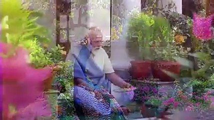 PM मोदी आंगन में बैठकर मोर को दाना खिलाते हुए, देखिए पीएम आवास का अनदेखा वीडियो