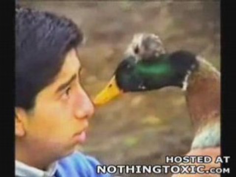 Best of - Rencontres avec nos amis les animaux...