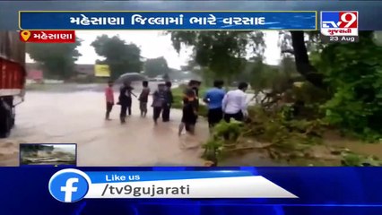 Download Video: Heavy rains disrupted normal life in Mehsana - Tv9GujaratiNews