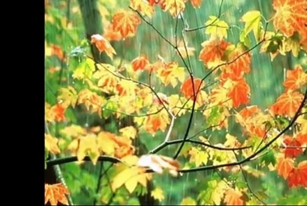 Sound meditation| sound meditation to heal your mind| sound meditation for depression| sound meditation for positive thinking