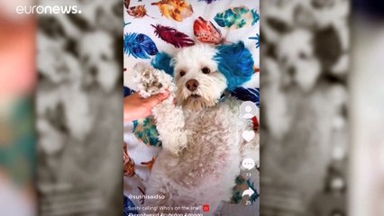 TikTok lance une riposte juridique aux États-Unis