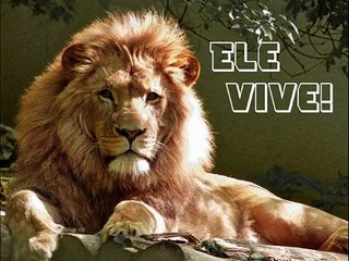 Deus do impossível -