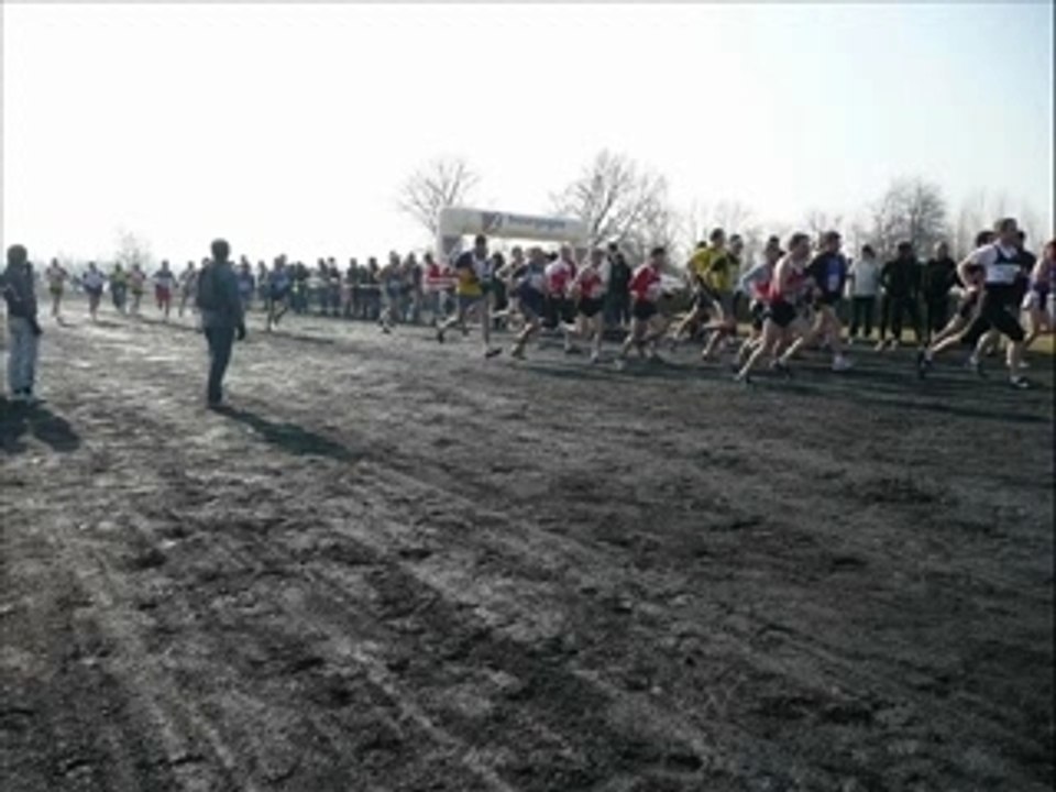 Course veteran