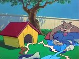 Tom and Jerry Videos | Tom and Jerry funny videos | TomandJerry Show | Tom and Jeery Cartoon Video