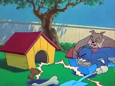 Tom and Jerry Videos | Tom and Jerry funny videos | TomandJerry Show | Tom and Jeery Cartoon Video