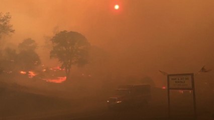 "캘리포니아 산불 역대 두 번째"...'재난지역' 선포 / YTN