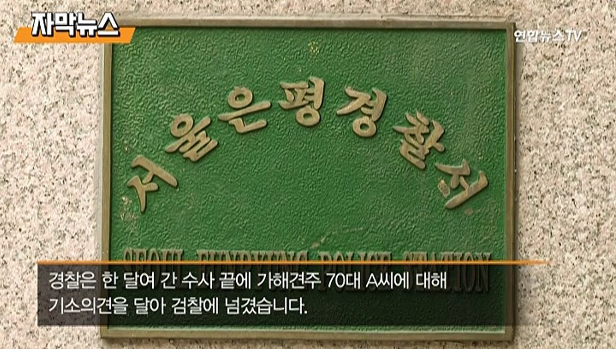 [자막뉴스] 스피츠 죽인 맹견 주인 檢송치…"소형견 죽음에 책임"