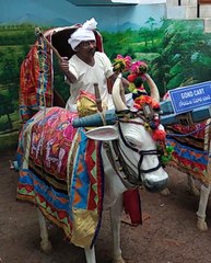 Hyderabad’s Tribal Museum dons a new look, now a must-visit spot