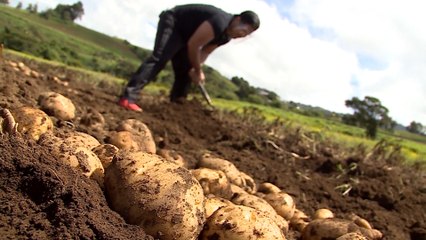 tcms-reto-eduardo - Gala 7