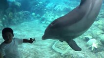 Cute Kid And Dolphine Have A Great Friendship Funny Babies And Pets
