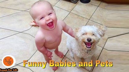 Funniest Moment Between Babies And Dogs 5 Funny Babies And Pets