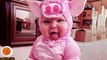 Try Not To Laugh Cutest Babies Costume 3 Funny Babies And Pets