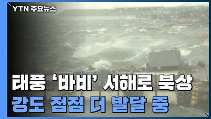 [취재N팩트] 태풍 '바비' 서해로 북상...최대 고비는 언제? / YTN