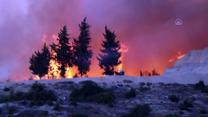 Orman yangınına havadan müdahale tekrar başladı - ADANA