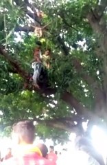 इटावा: ग्राम पतियात में 2 बच्चों ने पेड़ से लटककर की आत्महत्या