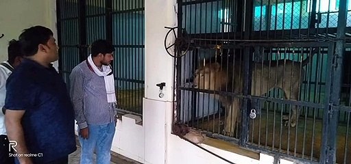 इटावा: लायन सफारी पार्क का दीदार करने पहुंचे सपा जिला अध्यक्ष