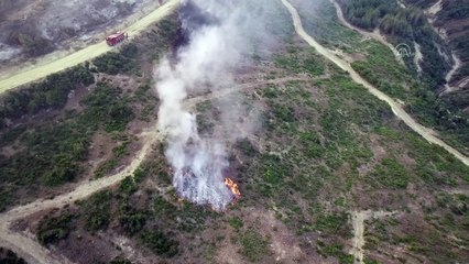 Orman yangınına havadan müdahale tekrar başladı - Drone -ADANA