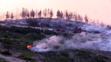 Orman yangınına havadan müdahale tekrar başladı (2) -ADANA