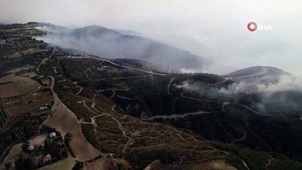 Adana'da dünden bu yana devam eden yangın havadan görüntülendi